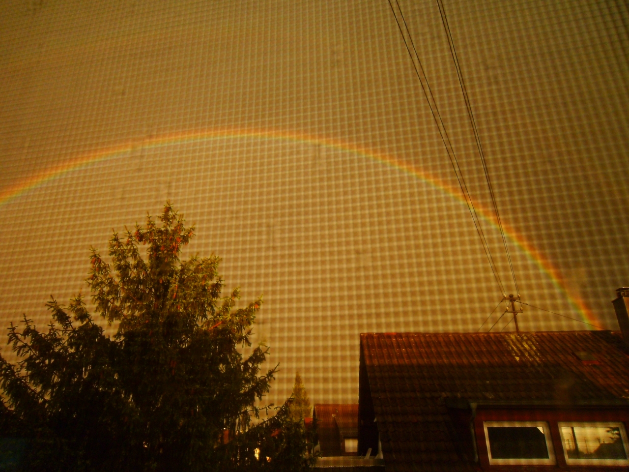 SANY0332_regenbogen.jpg