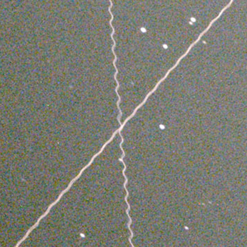 Satellitenspur.jpg