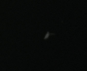 Saturn_040125_182945shortc.gif