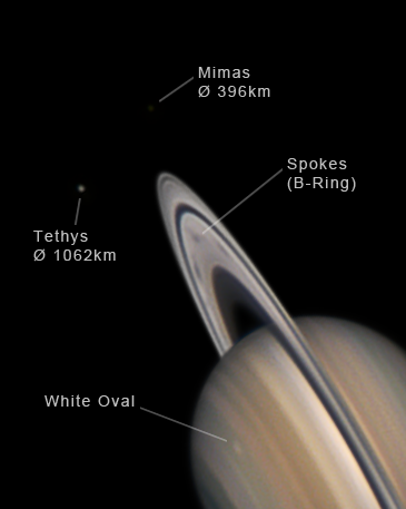 Saturn_20zDob-f16_ASI_462MM+MC_P.Maier_2026-09-20_0234-4CEST_hoch_crop.png