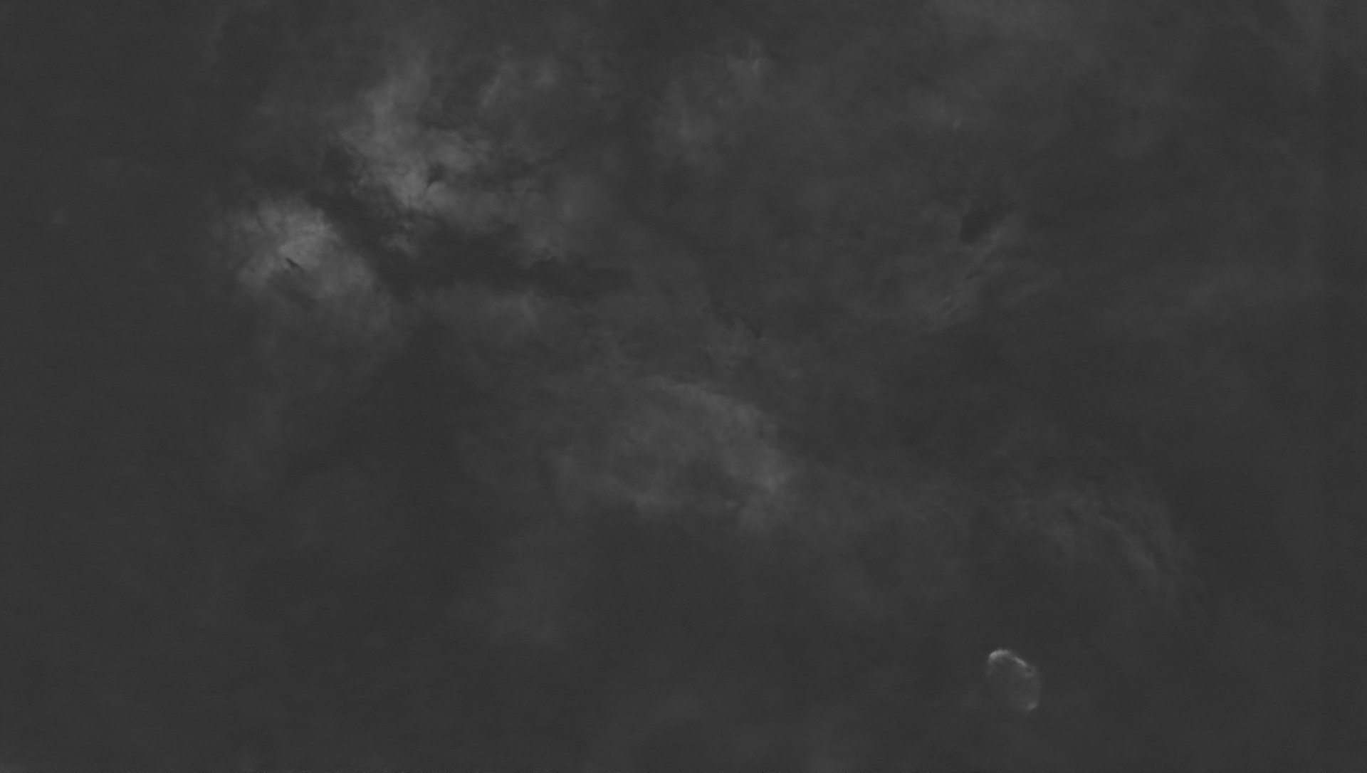 schmetterling-010725-55mm-haos_GraXpertc.jpg