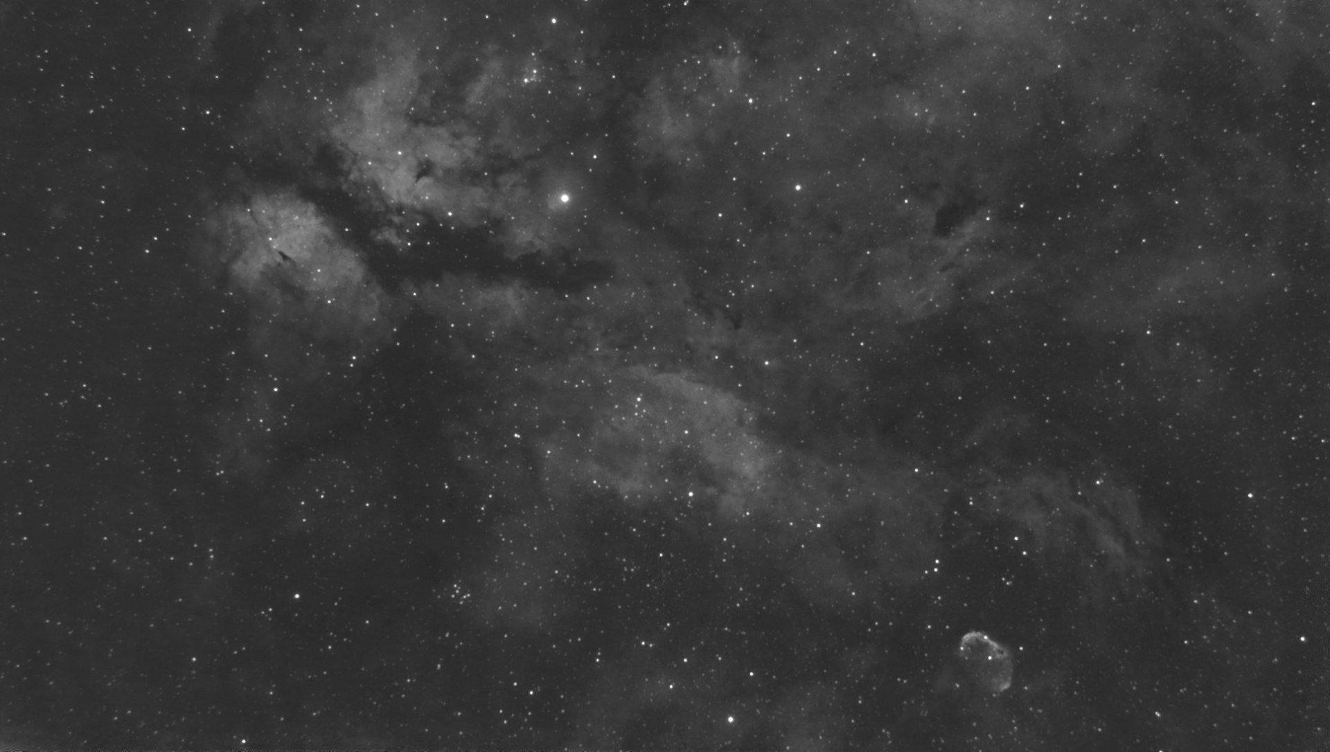 schmetterling-ha-01-040725osg1_GraXpertg2stars.jpg