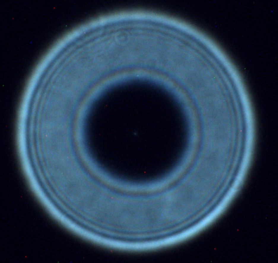 Screenshot 2023-02-05 220729.jpg