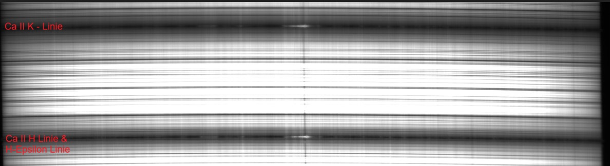 Screenshot 2026-07-21 172104.jpg
