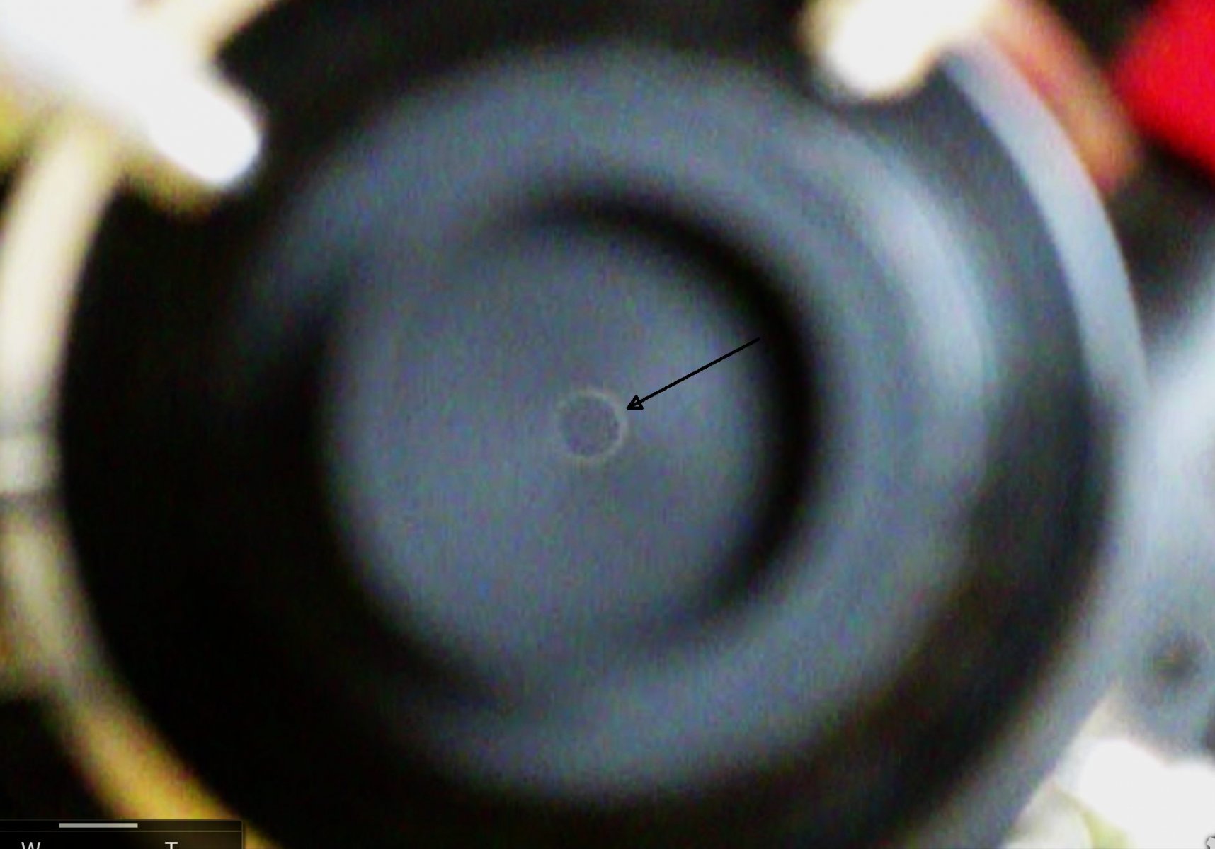 Screenshot_20201018-102835_Camoodoo.jpg