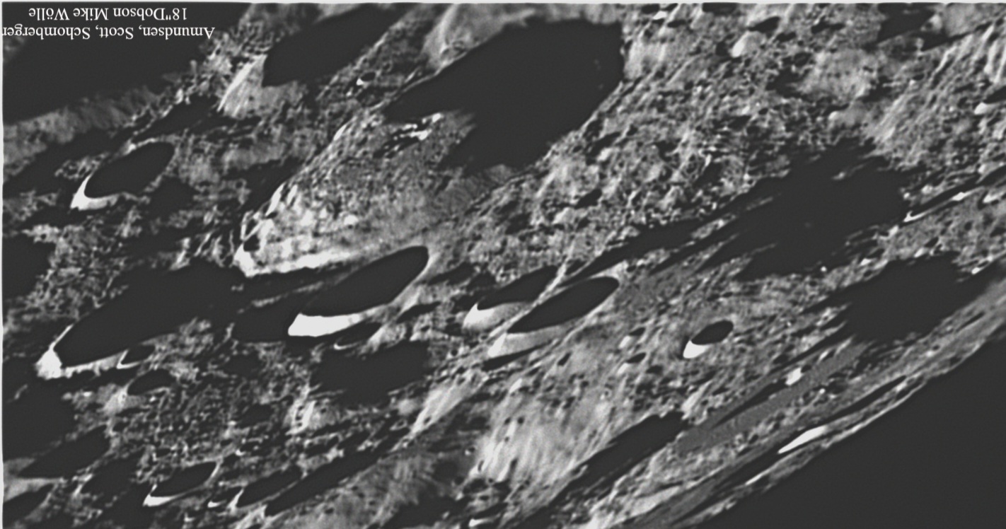 Screenshot_20240317_221148_Gallery.jpg