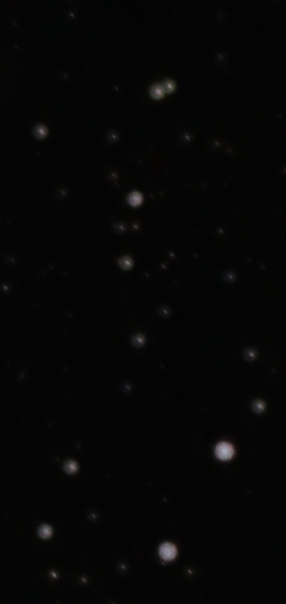 Screenshot_20250323_213540_Gallery.jpg