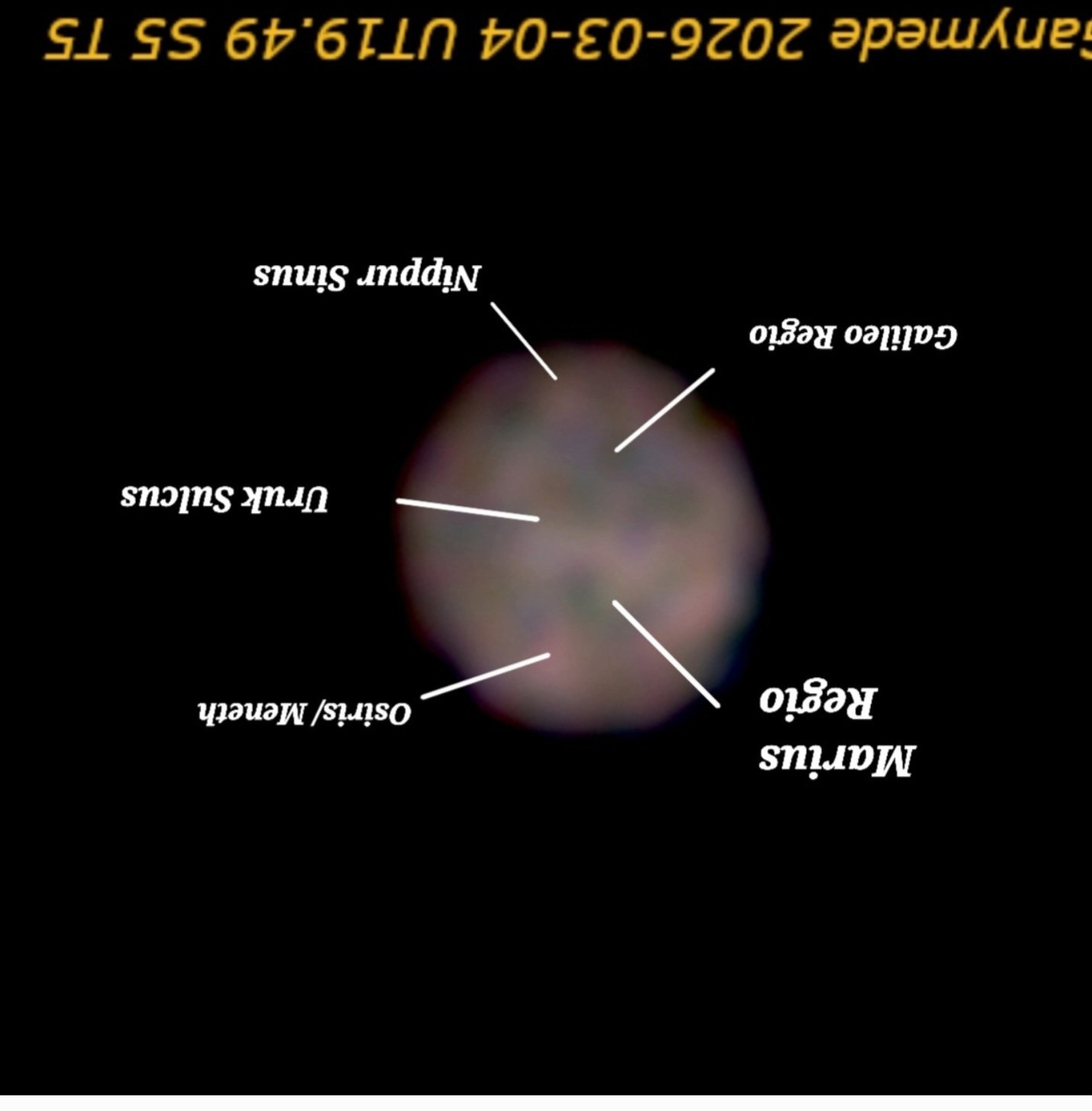 Screenshot_20260305_171036_Gallery.jpg