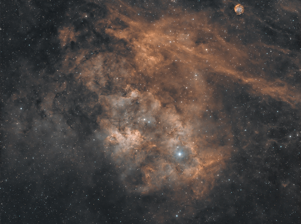 Sh2-115-HOO _Sienna.jpg