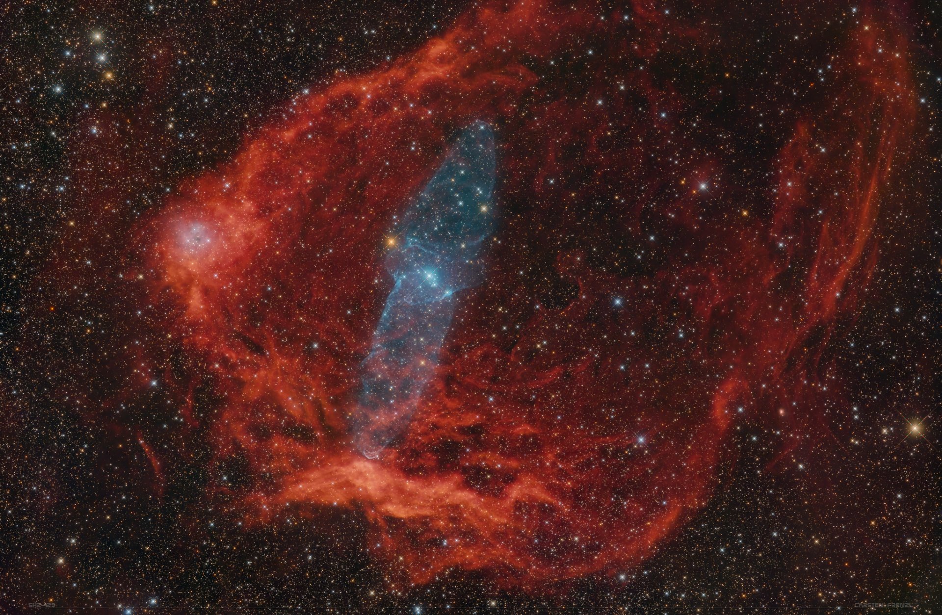 Sh2 129 & Ou4 - the flying bat and giant squid nebula | Forum Astronomie.de