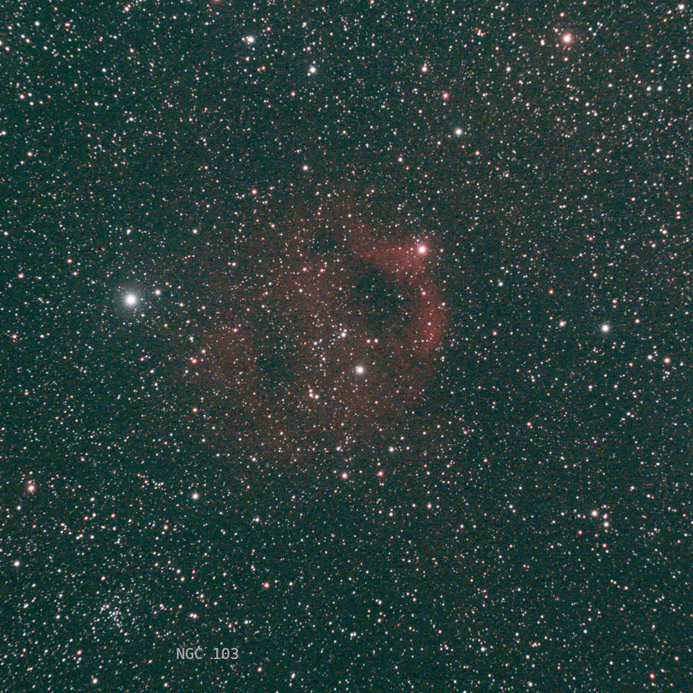 Sh2-173 59x60s guided Apo102f4 ASI533MC l-eNh cropresized.jpg