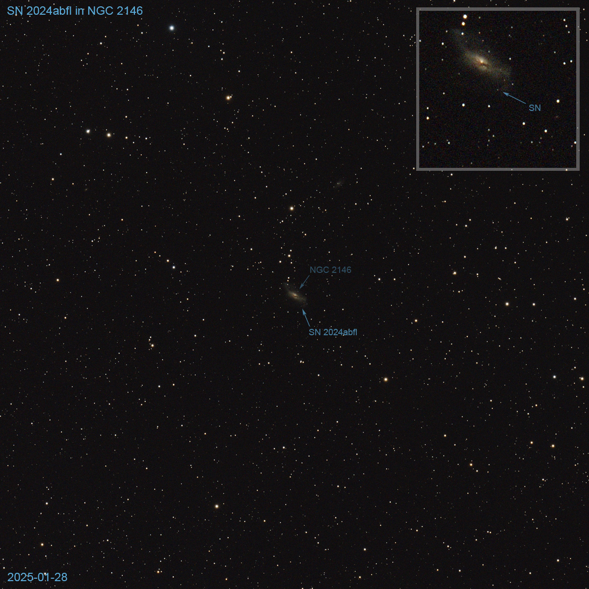 SN 2024abfl.jpg