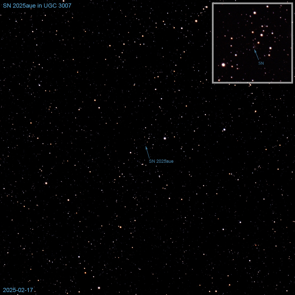 SN2025aue in UGC3007.jpg