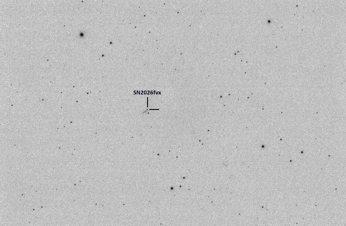 SN2026fvx_20260422_V_0001_marked.png
