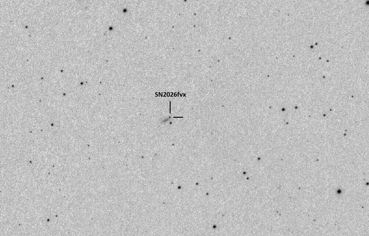 SN2026fvx_20260430_V_marked.png