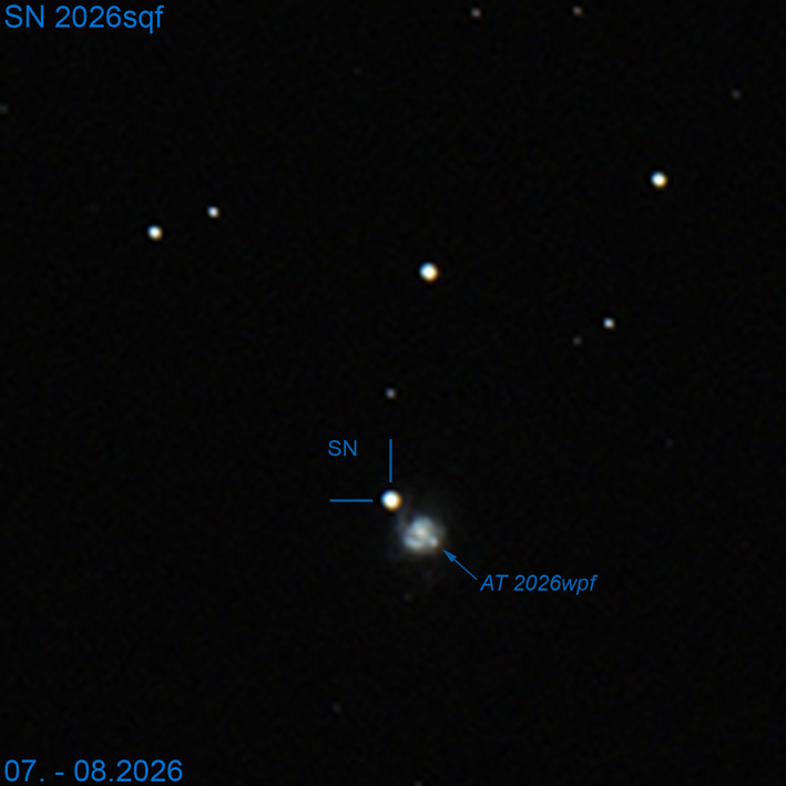 SN_2026sqf_2.jpg