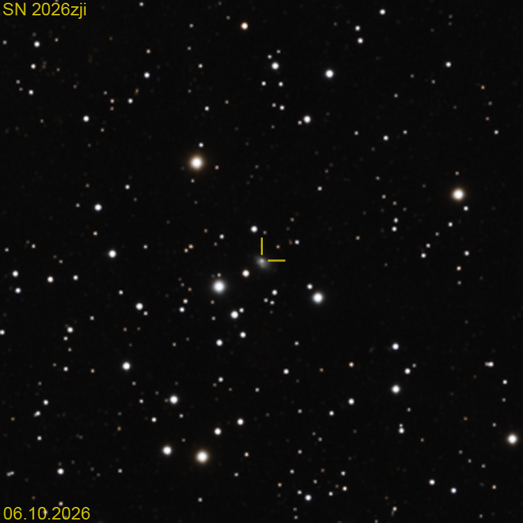 SN_2026zji.jpg