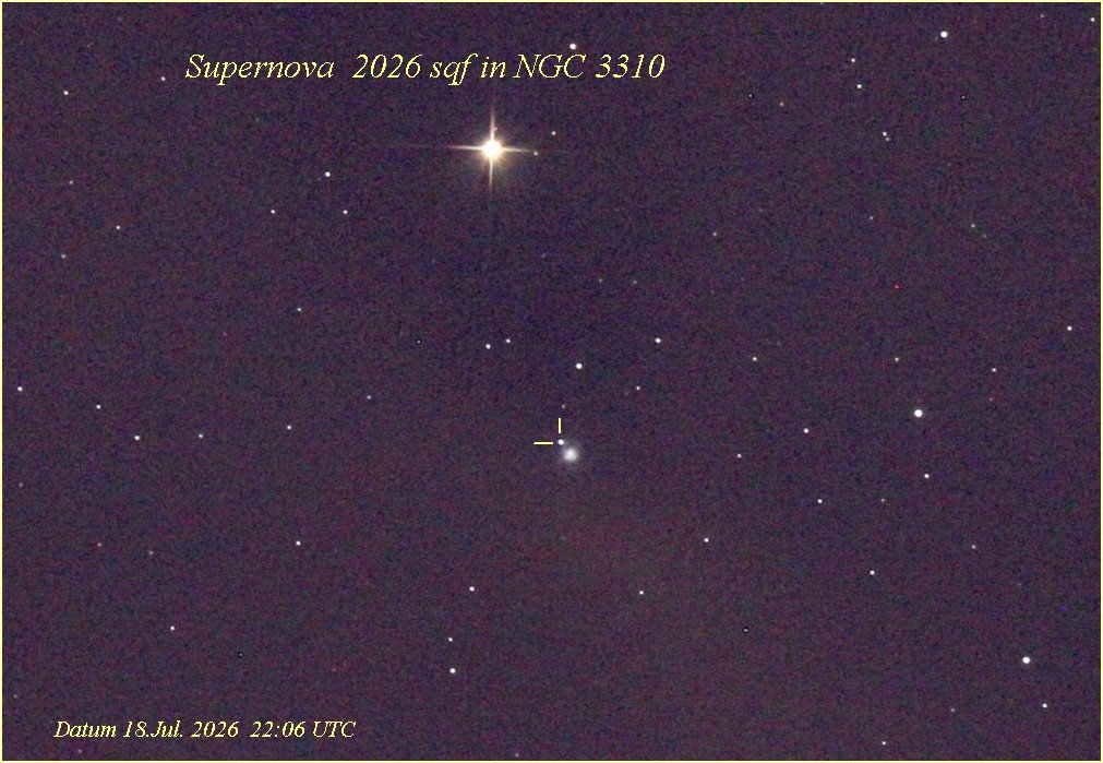 SN_N3310_290718-2206web.jpg