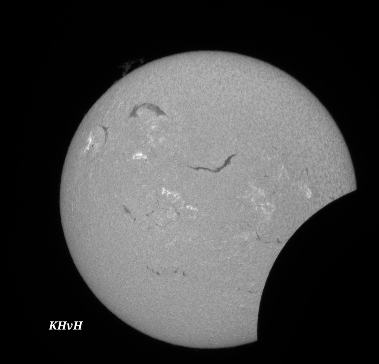 SOFI 3.jpg