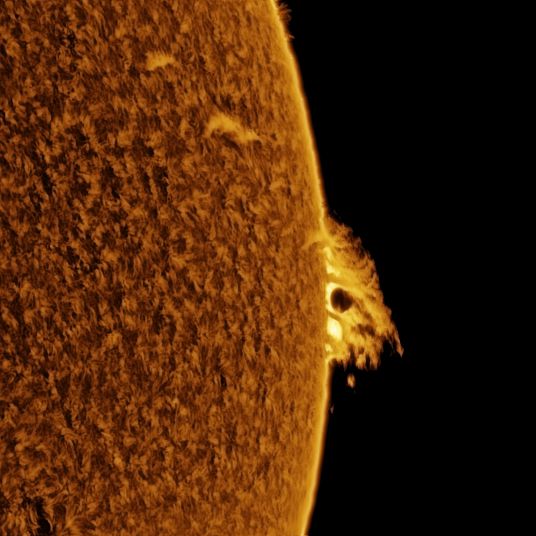 Sonne detail.jpg