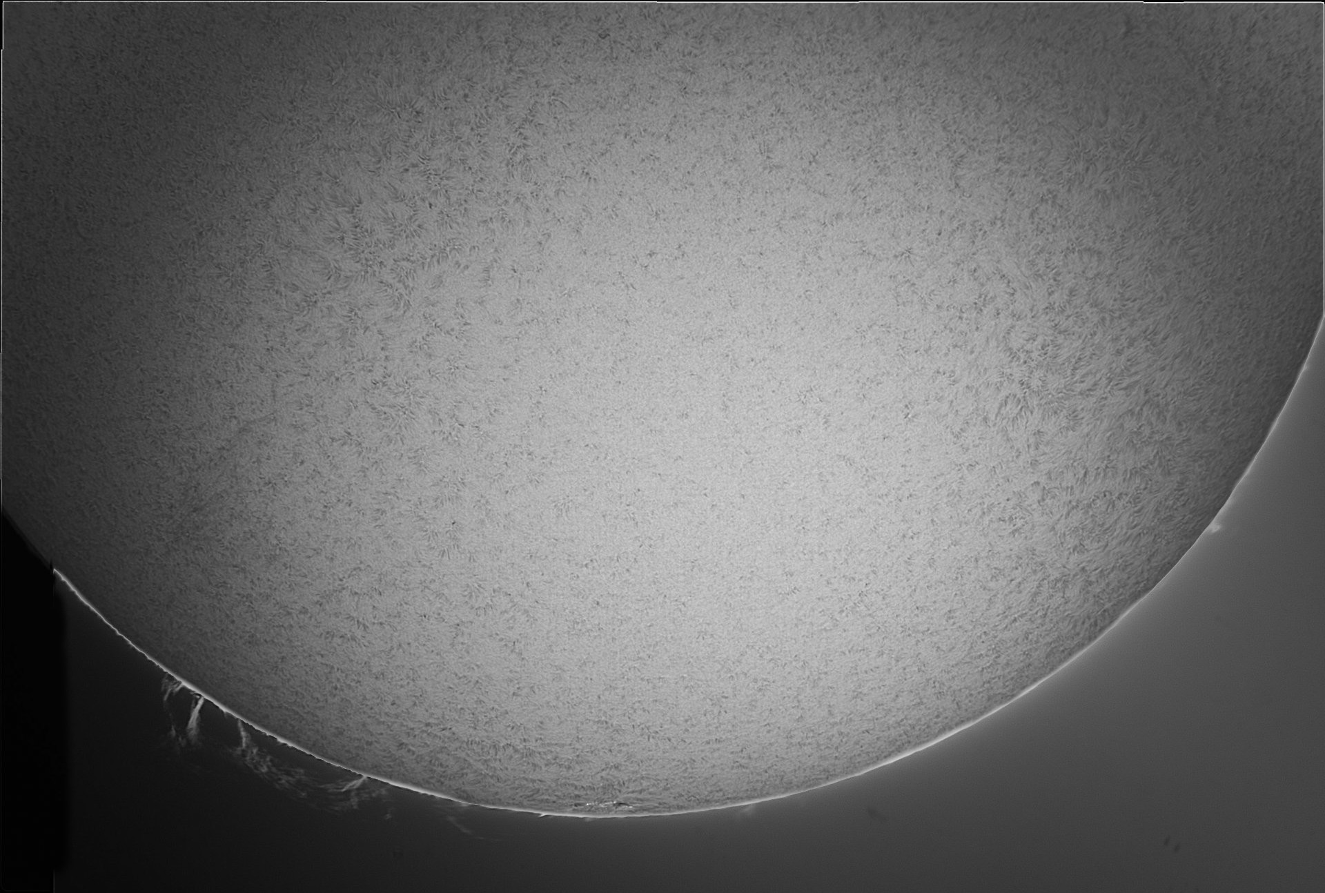 Sonne.jpg