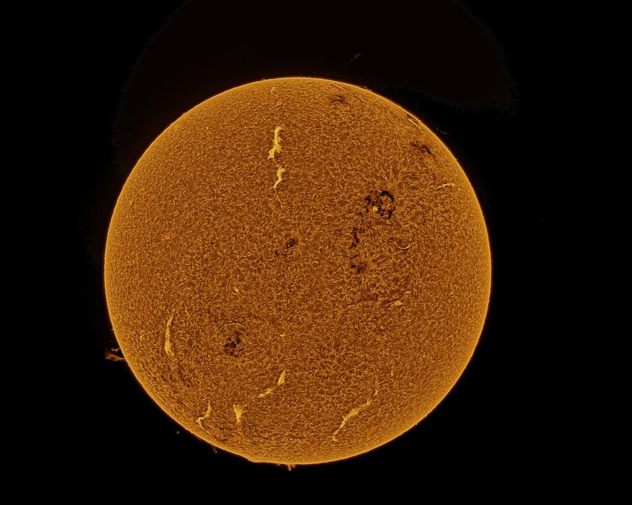 Sonne.jpg