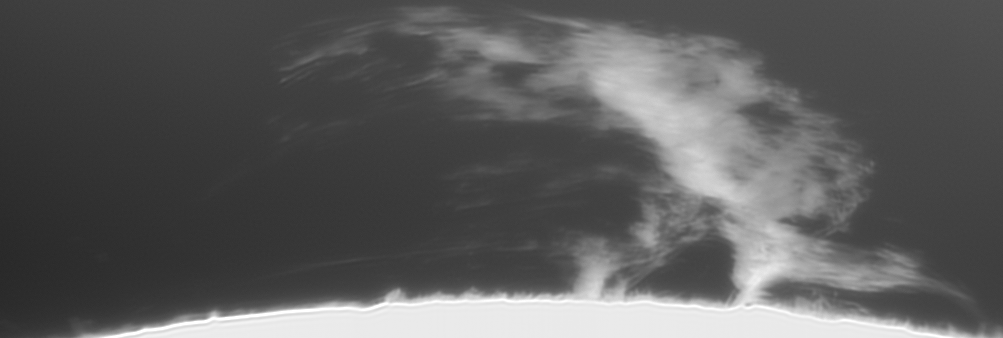 sonne öp.gif