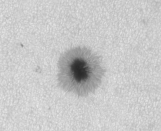 Sonne_010525_103010.jpg