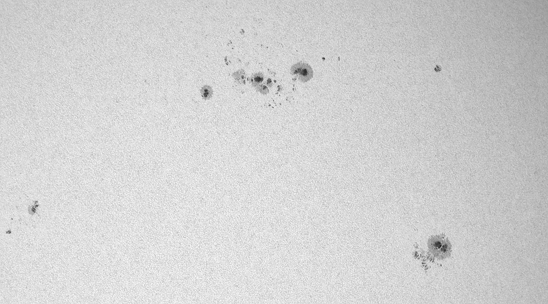 Sonne_020625_103108c.jpg
