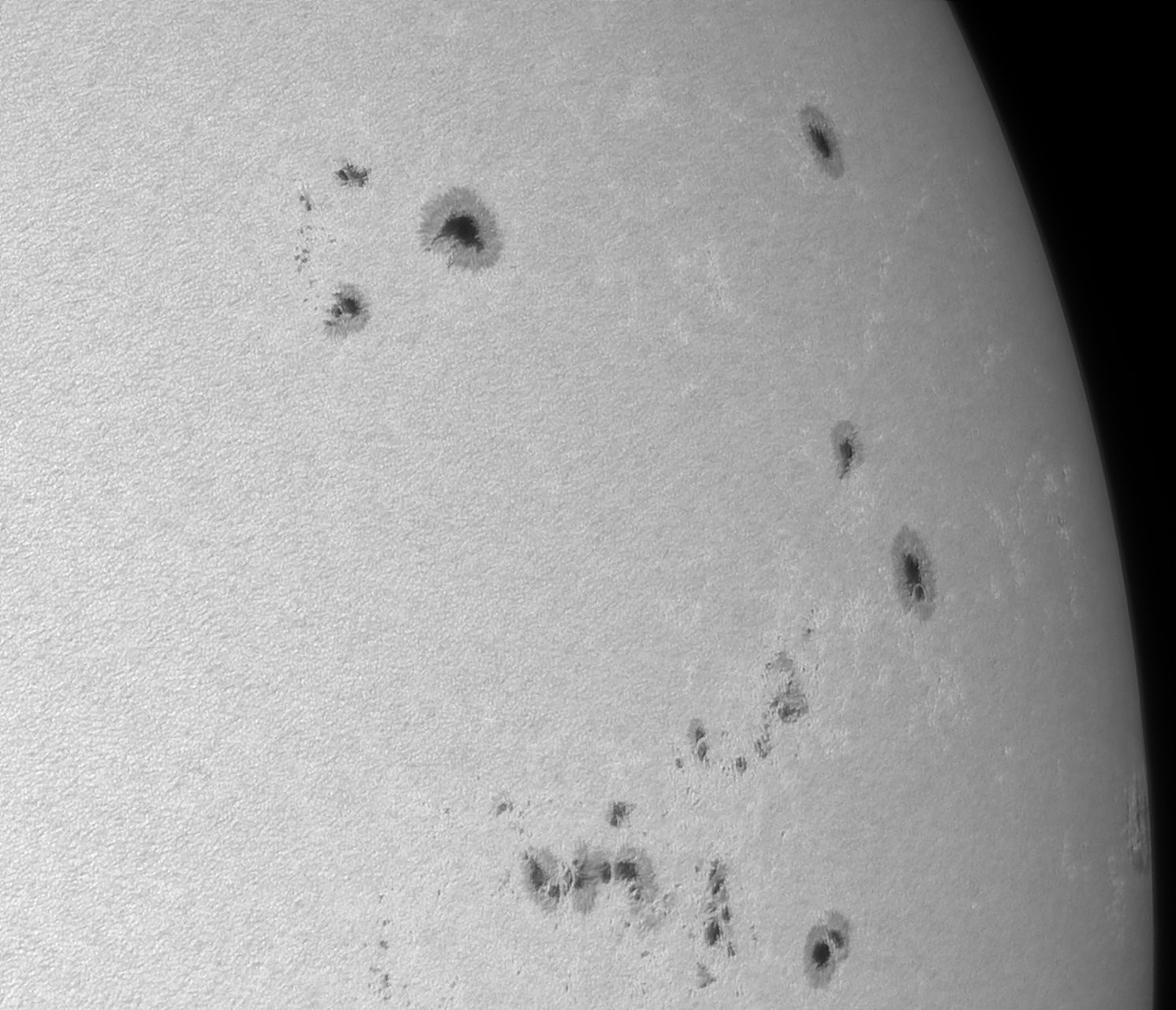 Sonne_020824_111043p150c.jpg