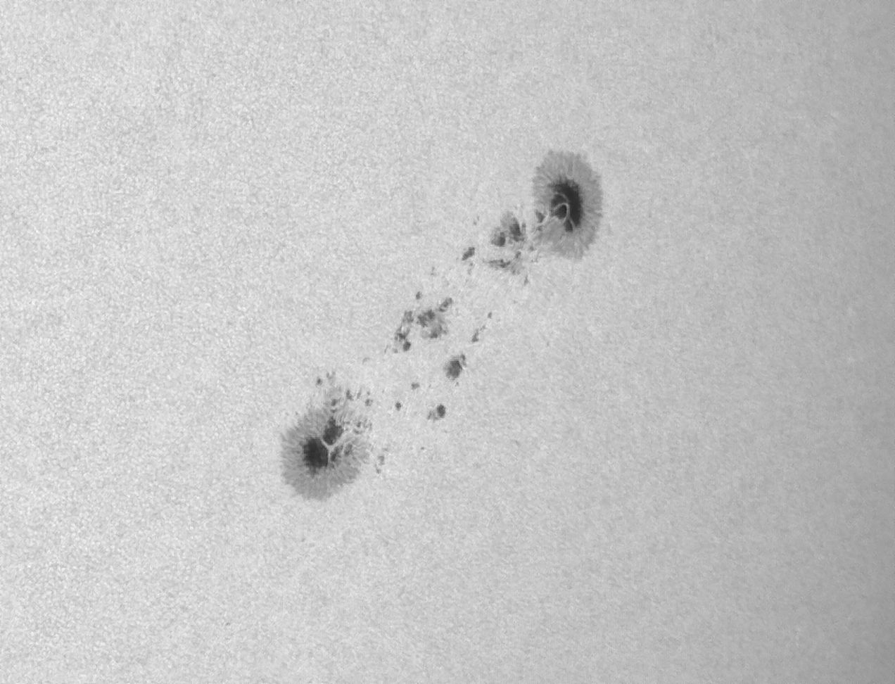 Sonne_020924_105033p150c.jpg