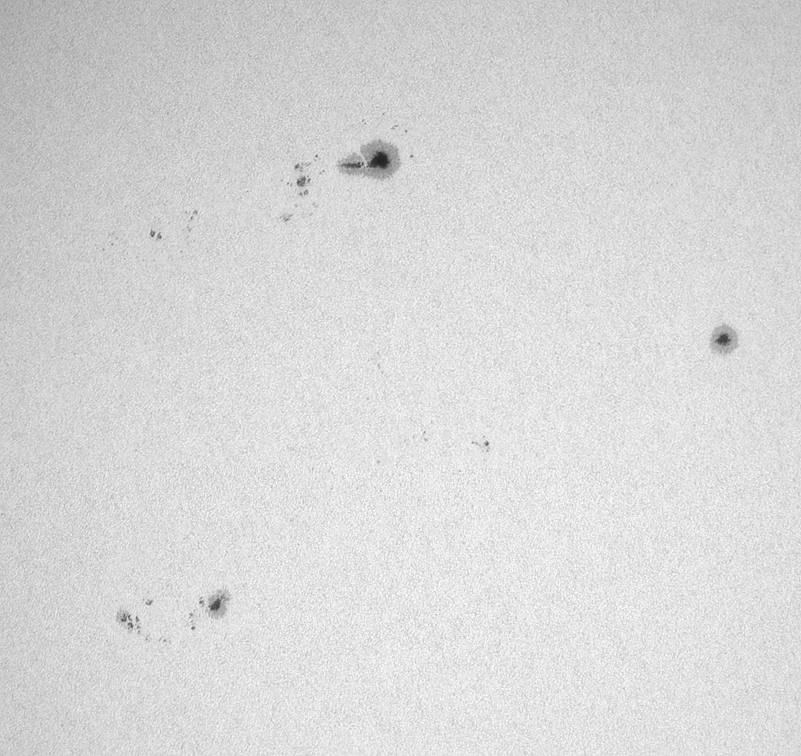 Sonne_050925_113737_B-mosaikc.jpg