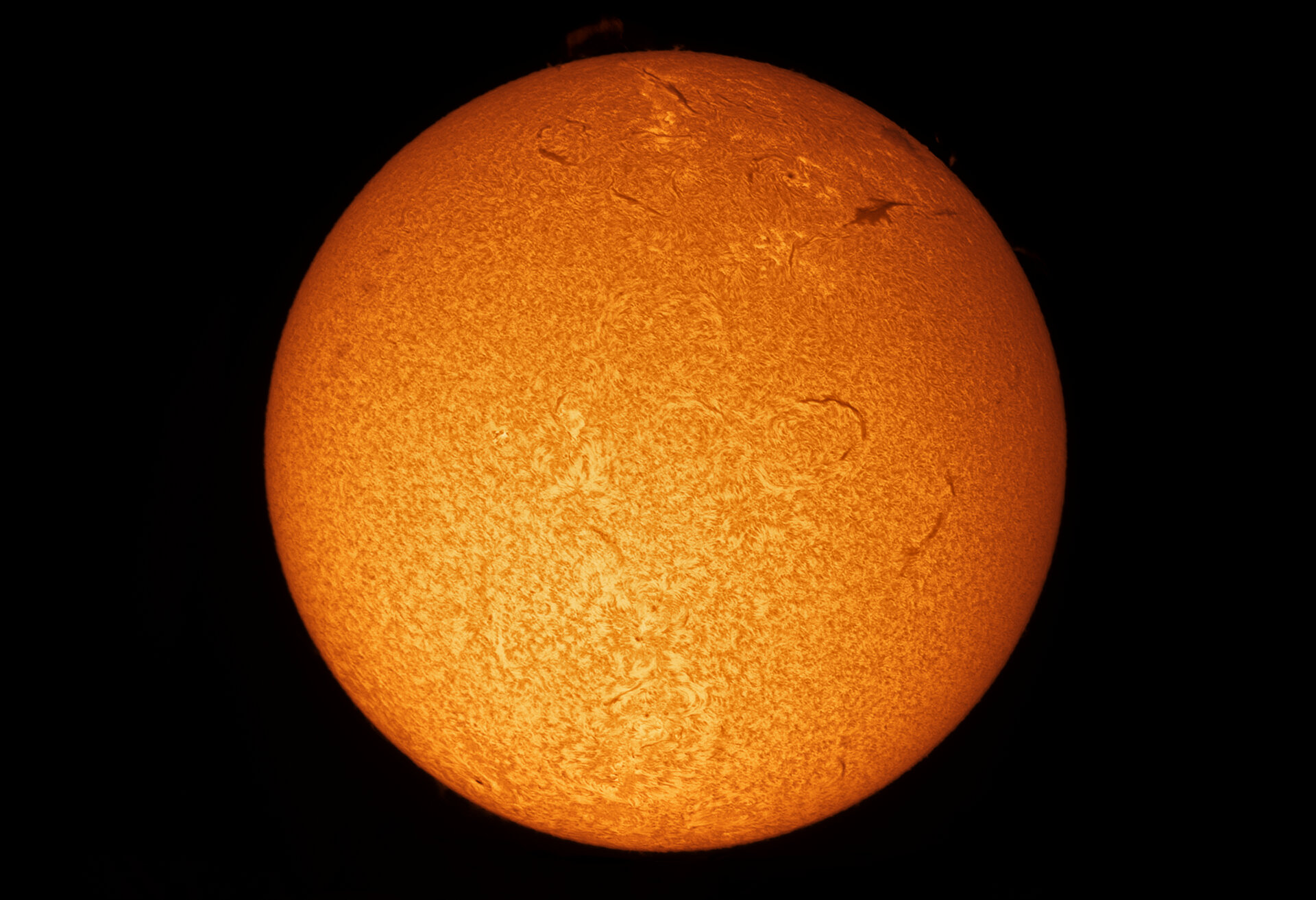 Sonne_08_04_25 2 1.jpeg