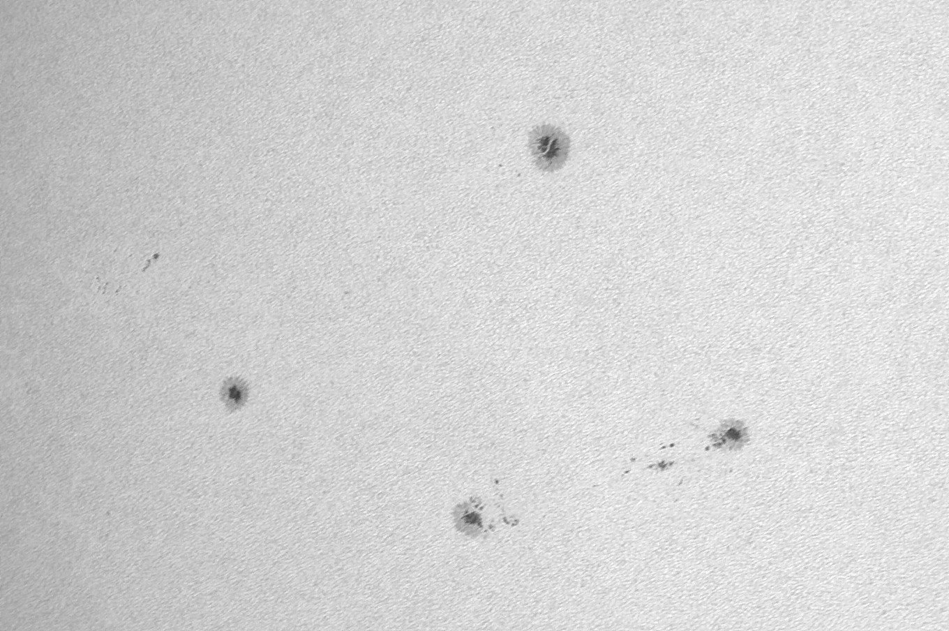 Sonne_090825_113138_Bc.jpg