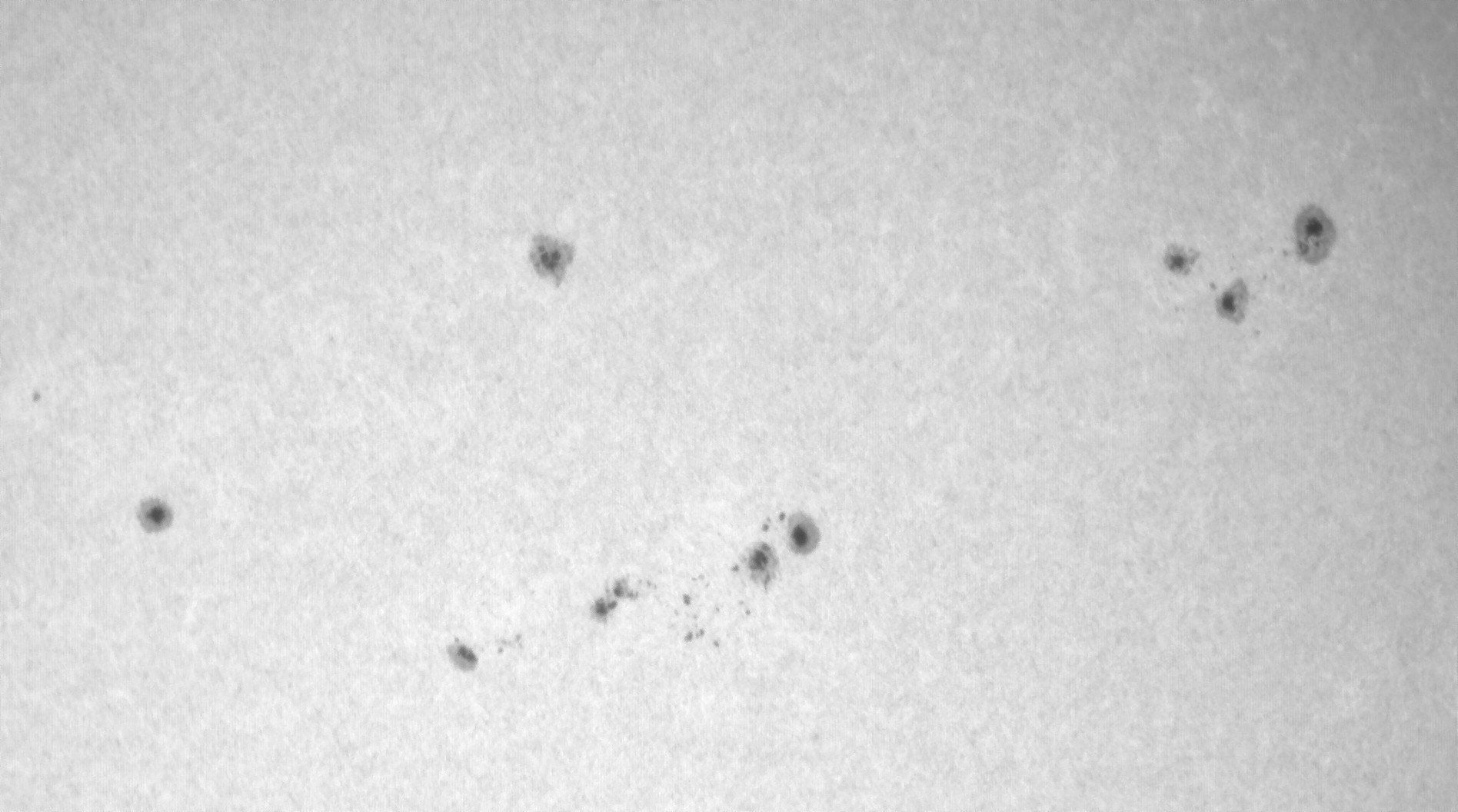 Sonne_110825_112805_UVc.jpg