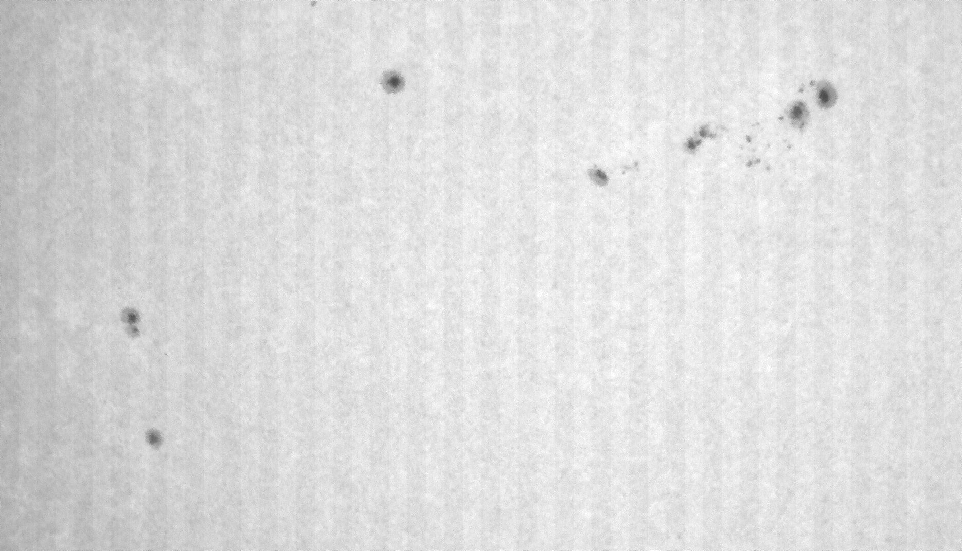 Sonne_110825_112843_UVc.jpg