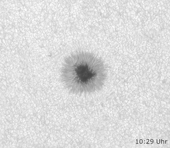 Sonne_150426_1029-1054-pic-ani.gif