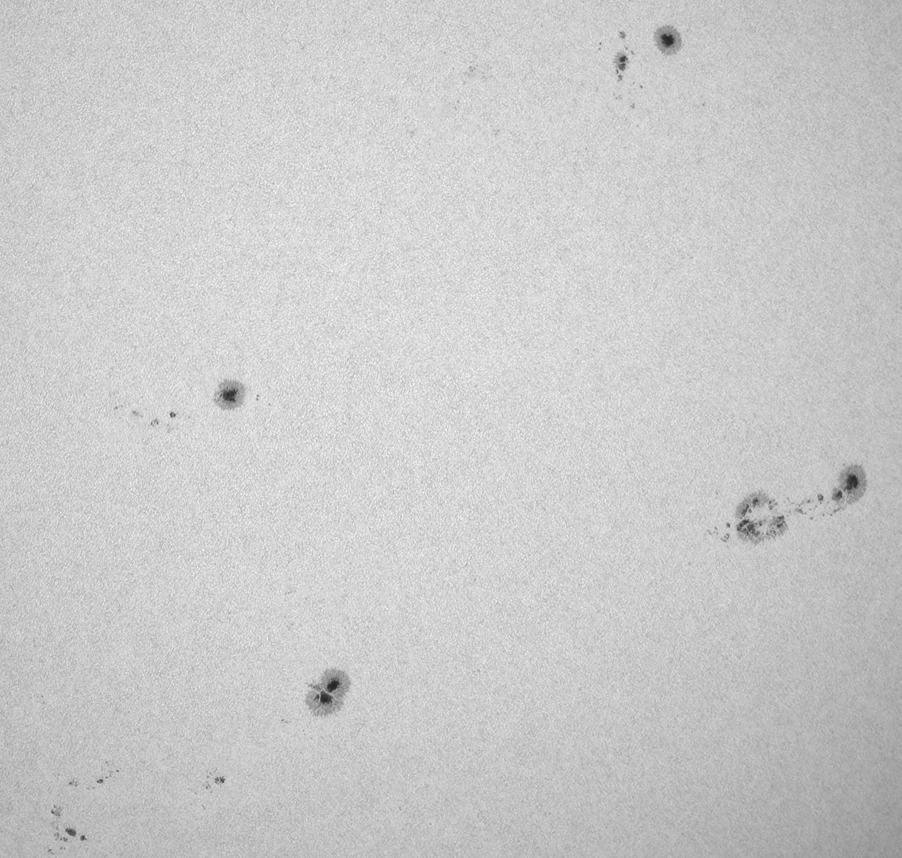 Sonne_190925_101519_B-Mosaikc.jpg
