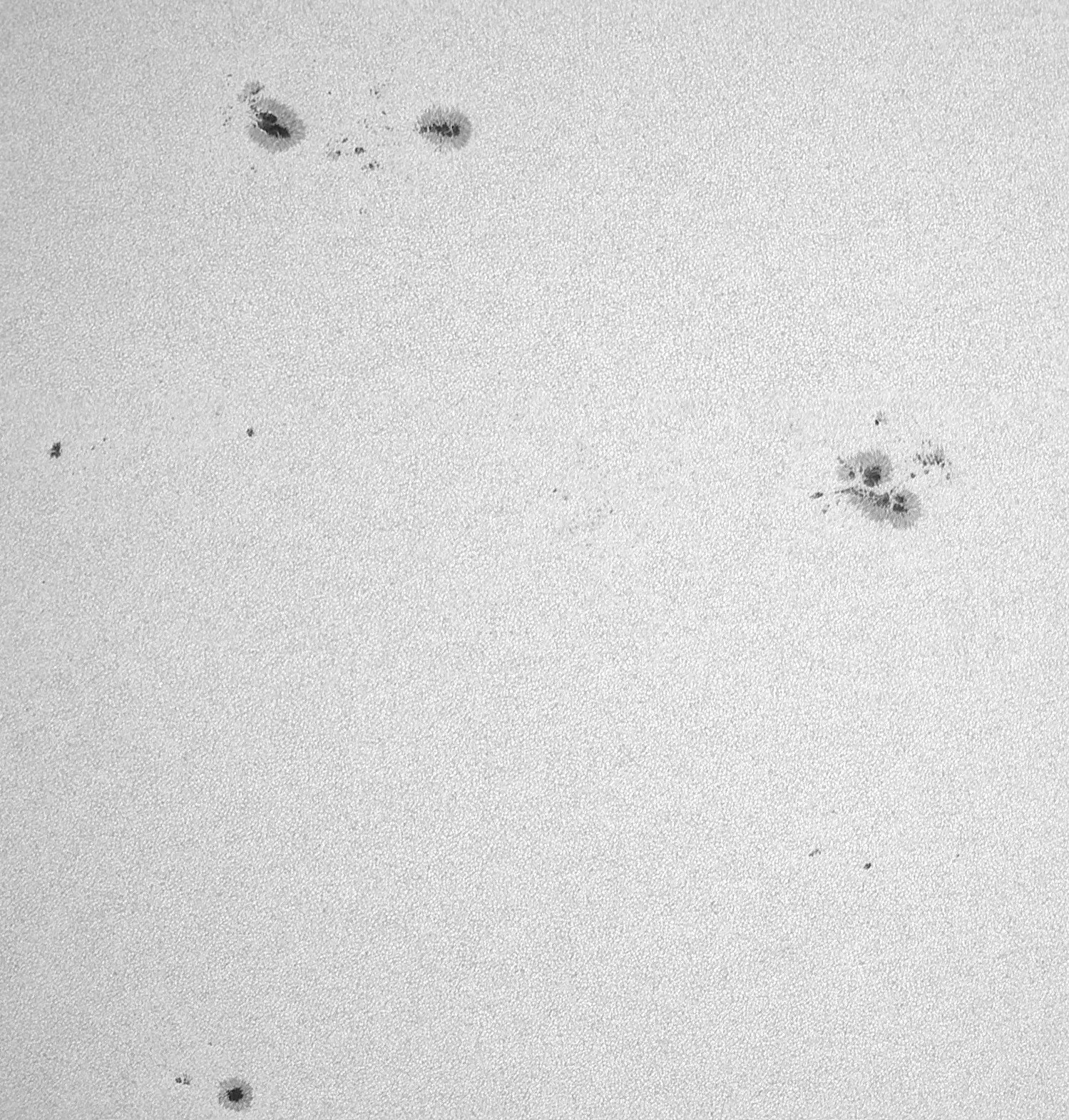 Sonne_210425_100042mosaikc.jpg