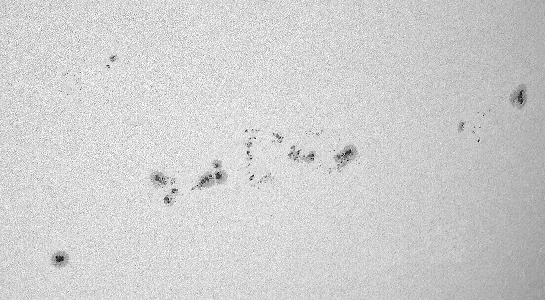 Sonne_210724_104242c.jpg
