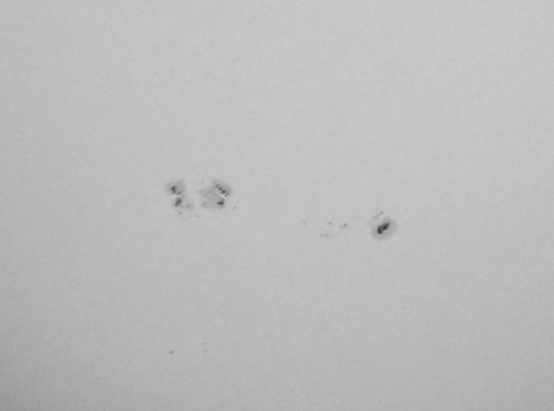 sonne_210908_3.jpg