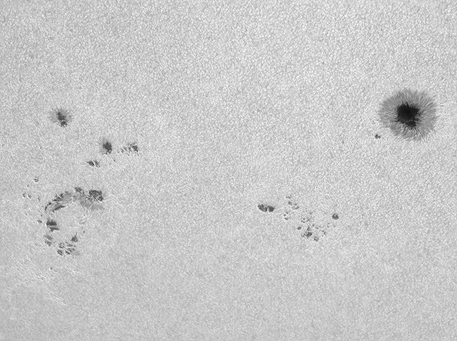 Sonne_220624_095645c.jpg