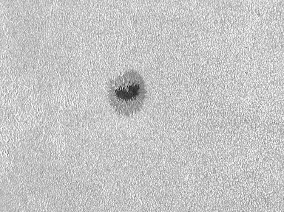 Sonne_240624_095927c.jpg