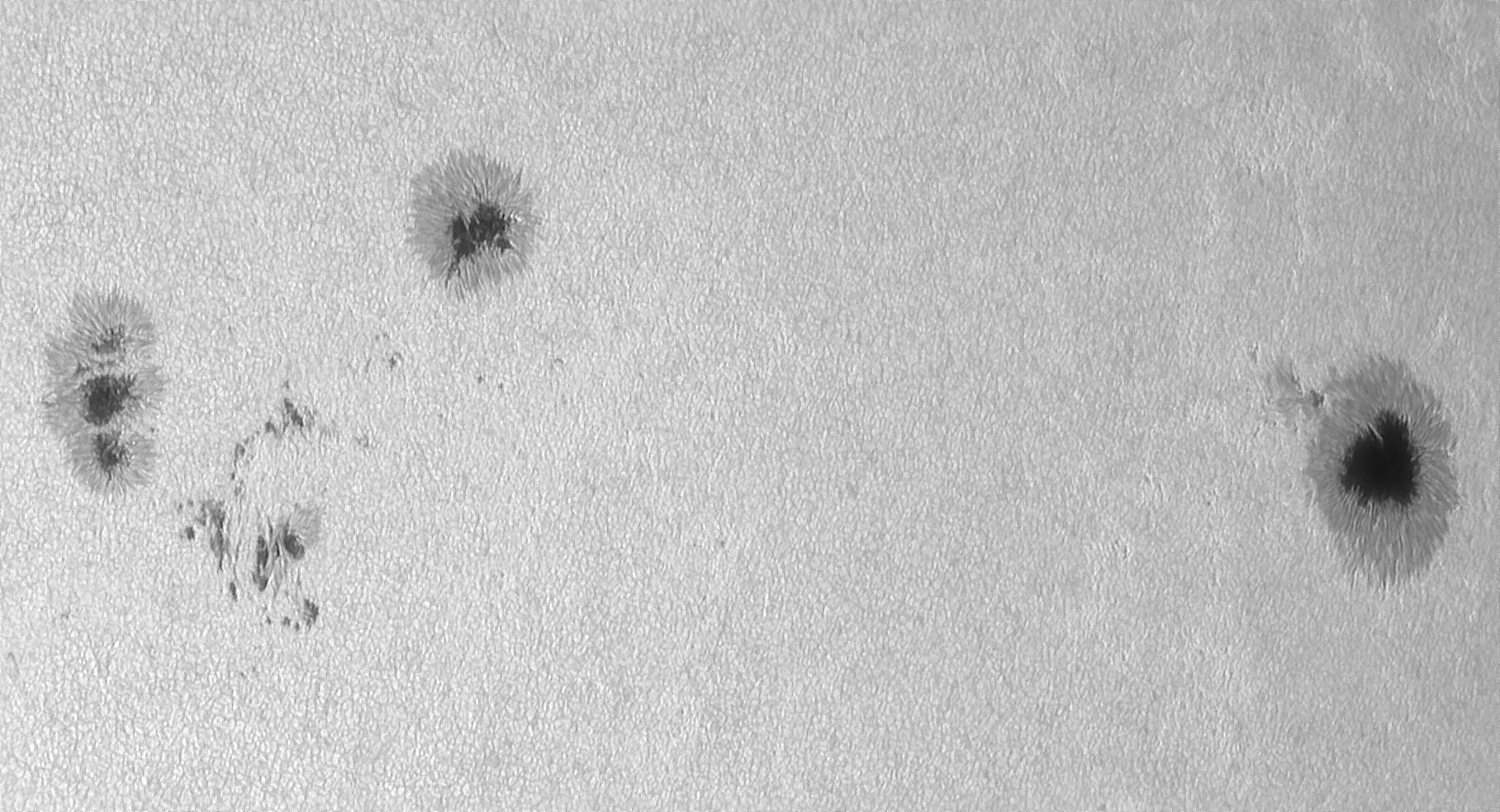 Sonne_260824_103608c.jpg