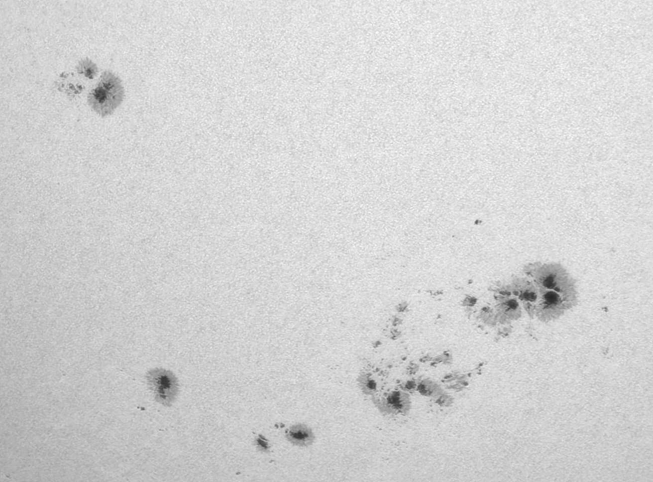 Sonne_290825_110449_Bc.jpg