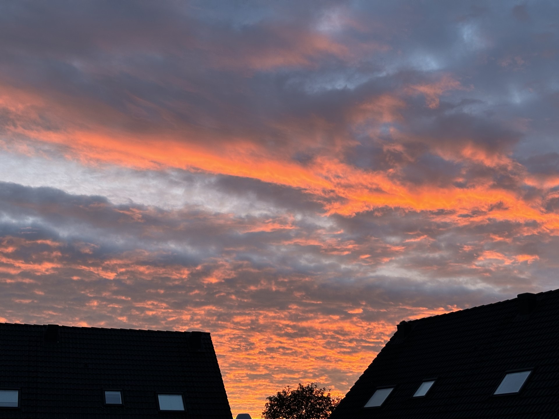 sonnenaufgang.jpeg