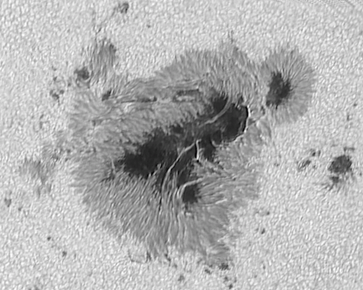 sonnenfleck-ani-110824.GIF