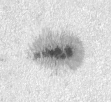 sonnenfleck1-210425-1004-1037.GIF