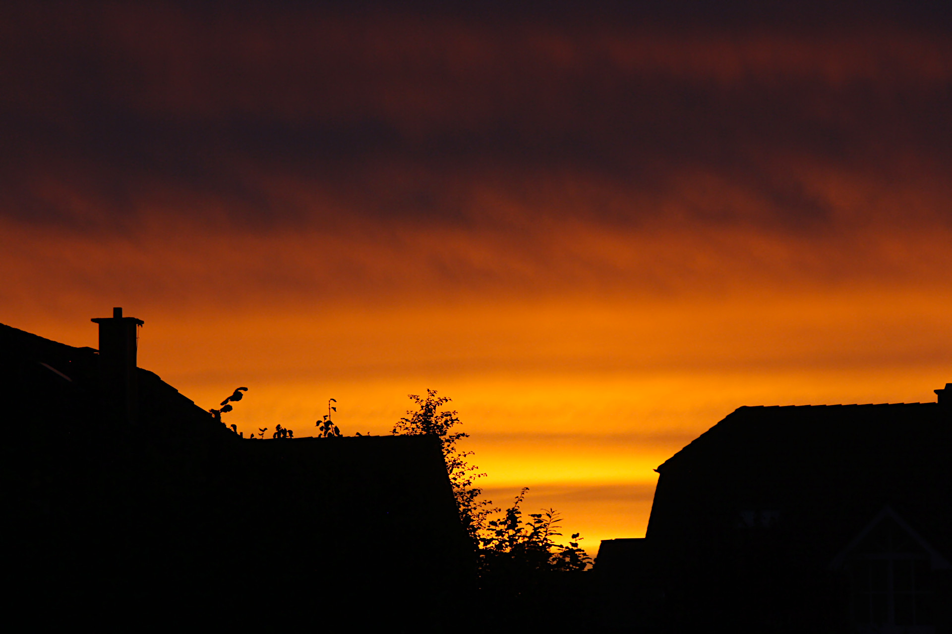 sonnenuntergang-081024nr3c.jpg