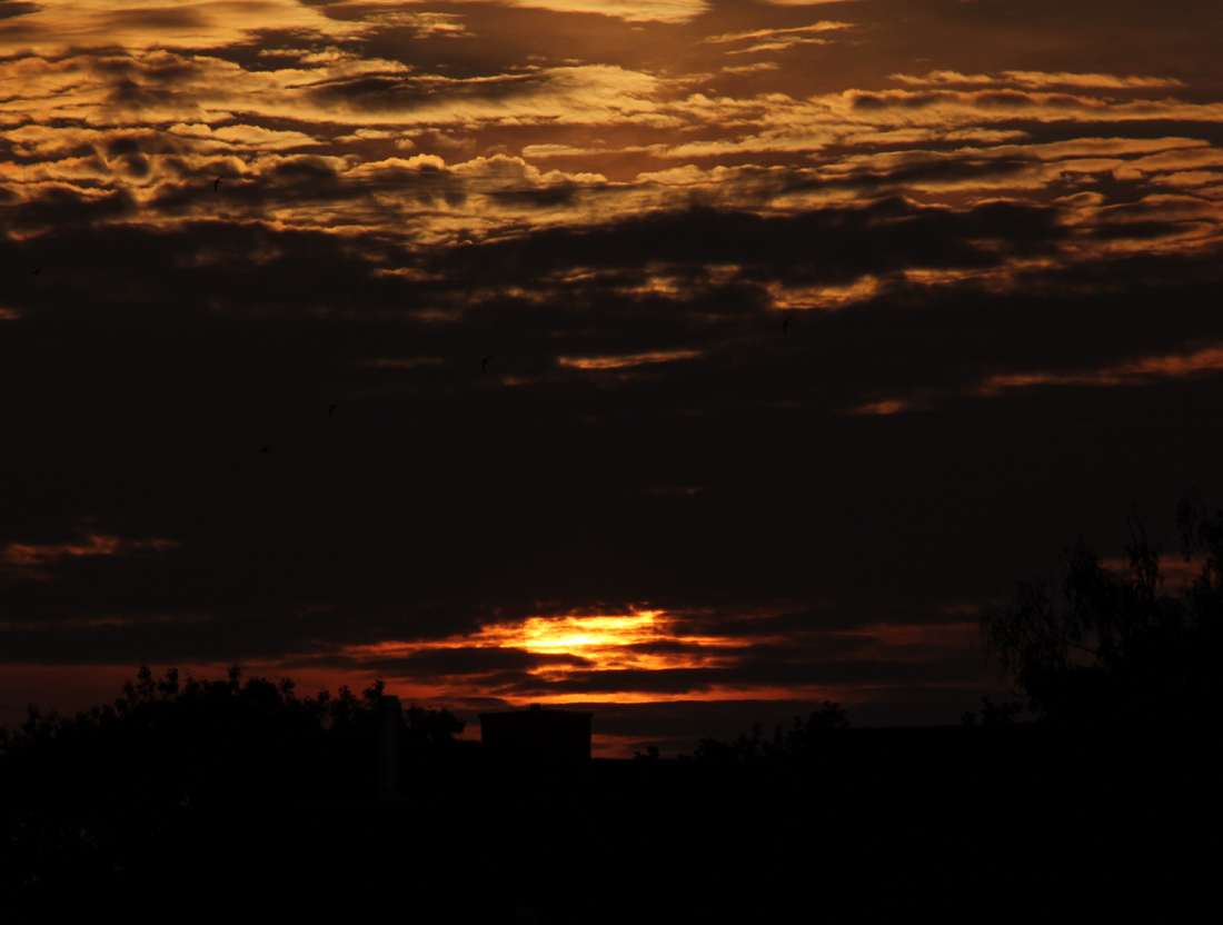 sonnenwende_230621.jpg